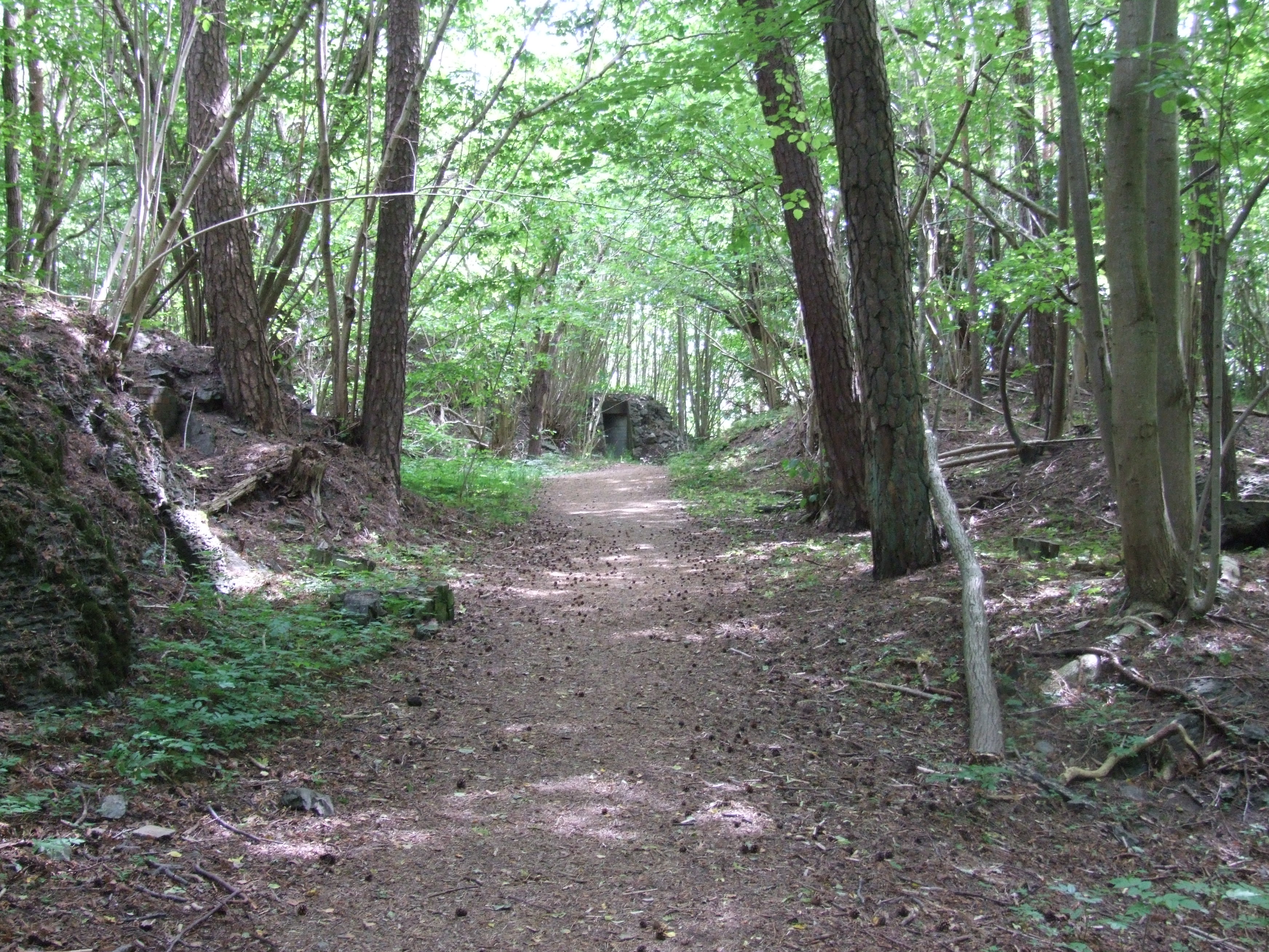 Tangen Fort - Nature trails in Langesund, Bamble - Bamble