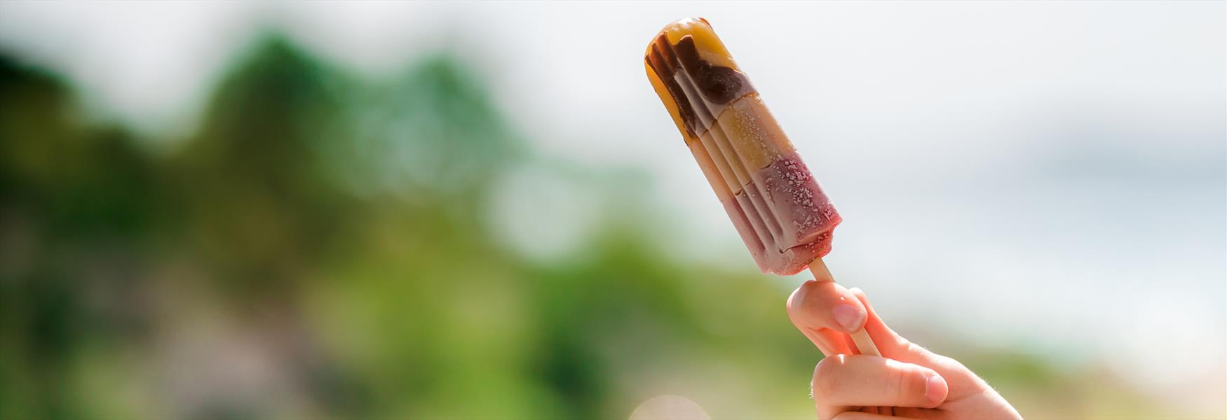 ice cream on a stick