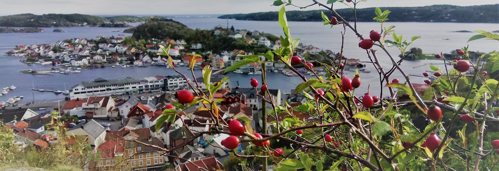 Enjoy the nice view from Steinmann in autumn