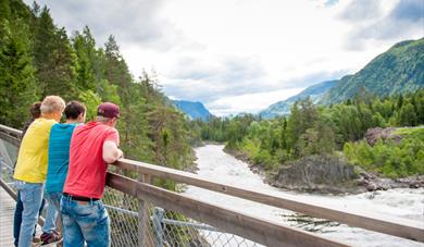 boys stand on a bridge and look over the water