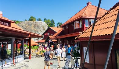 summer guests at Valle