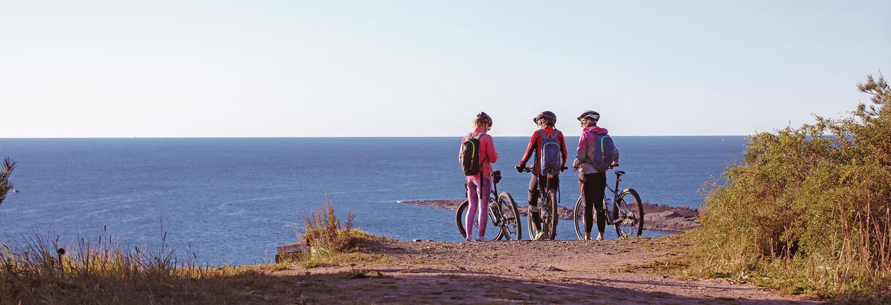 3 ladies with bicycles look out over the lake