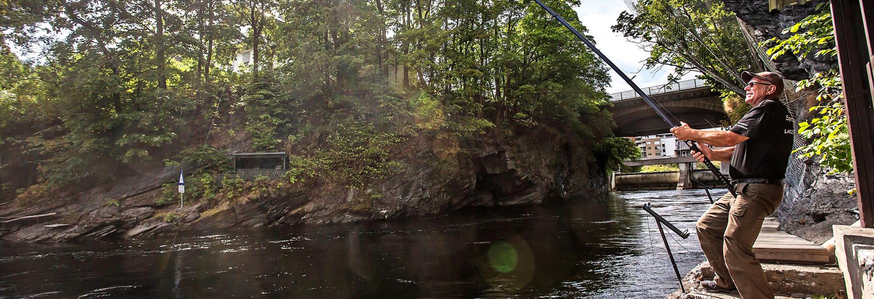 Salmon fishing in Klosterfoss