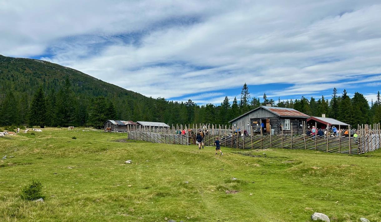 The mountain farm Gavlesjåstulen at Lifjell