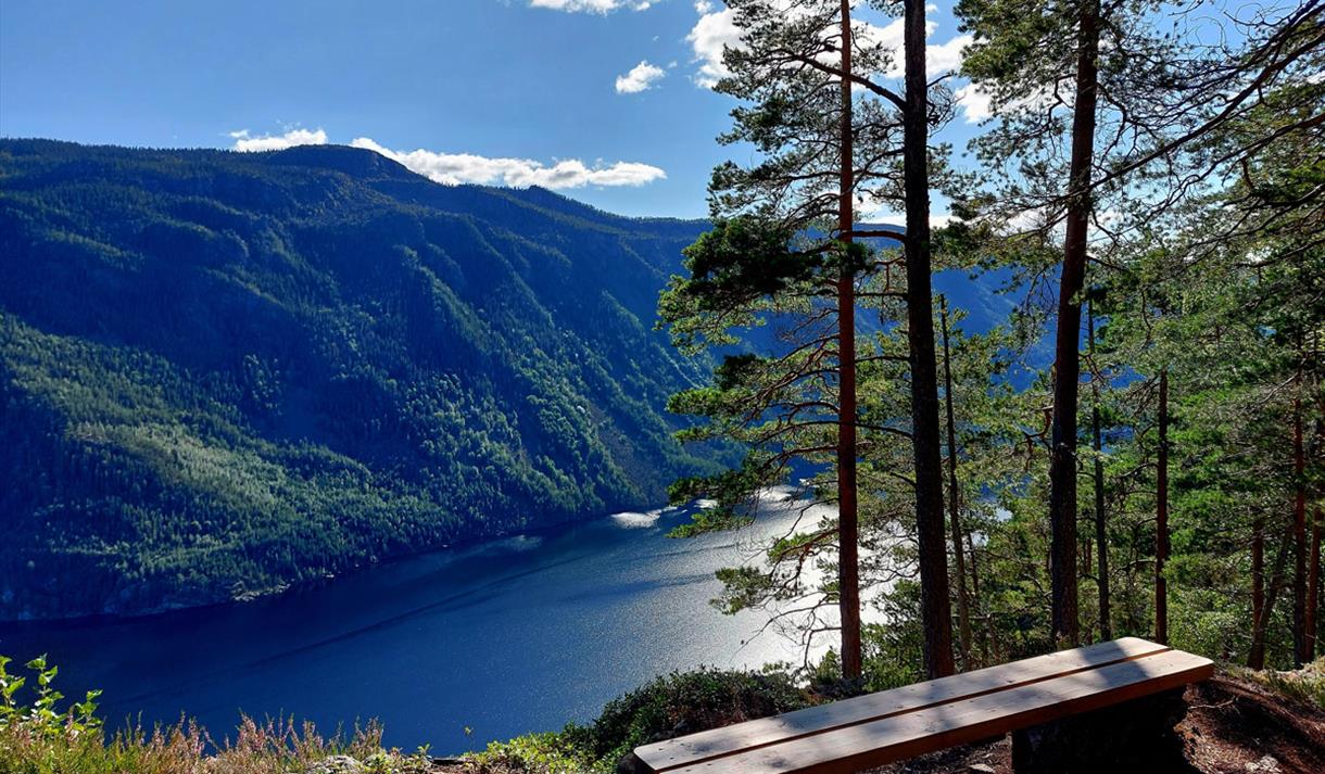 rest area with great views along the Tveitgrend trail