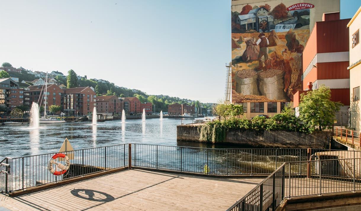 Skien city with the fish ladder and the water