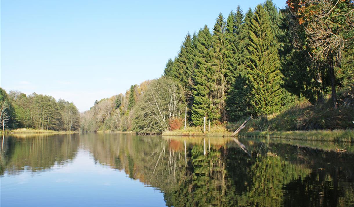 Falkumselva in Skien in autumn