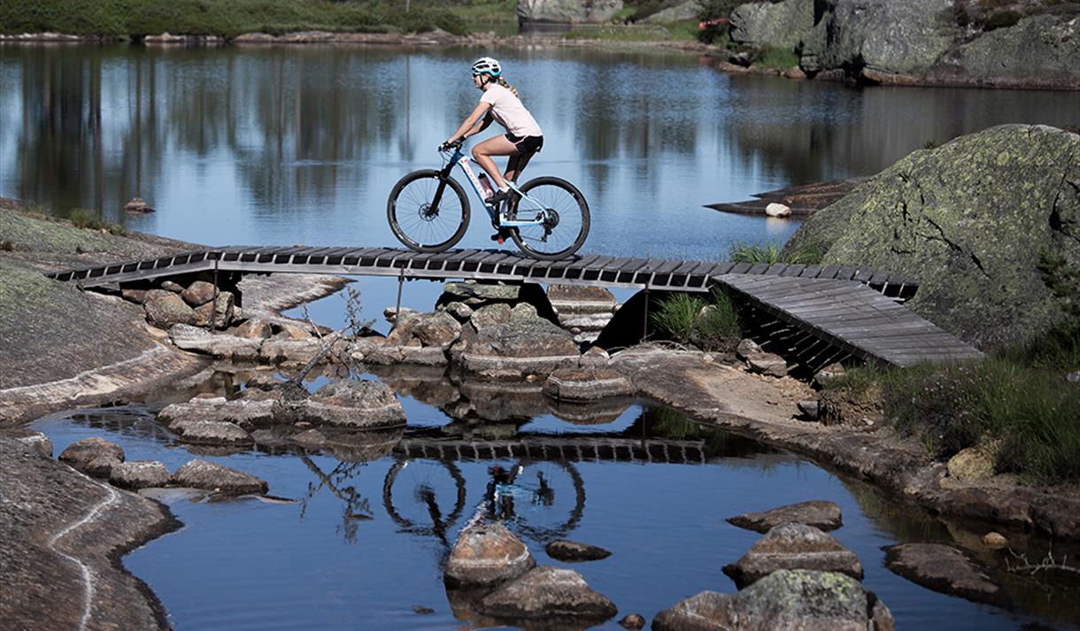 trail cycling at Gautefallheia in Drangedal