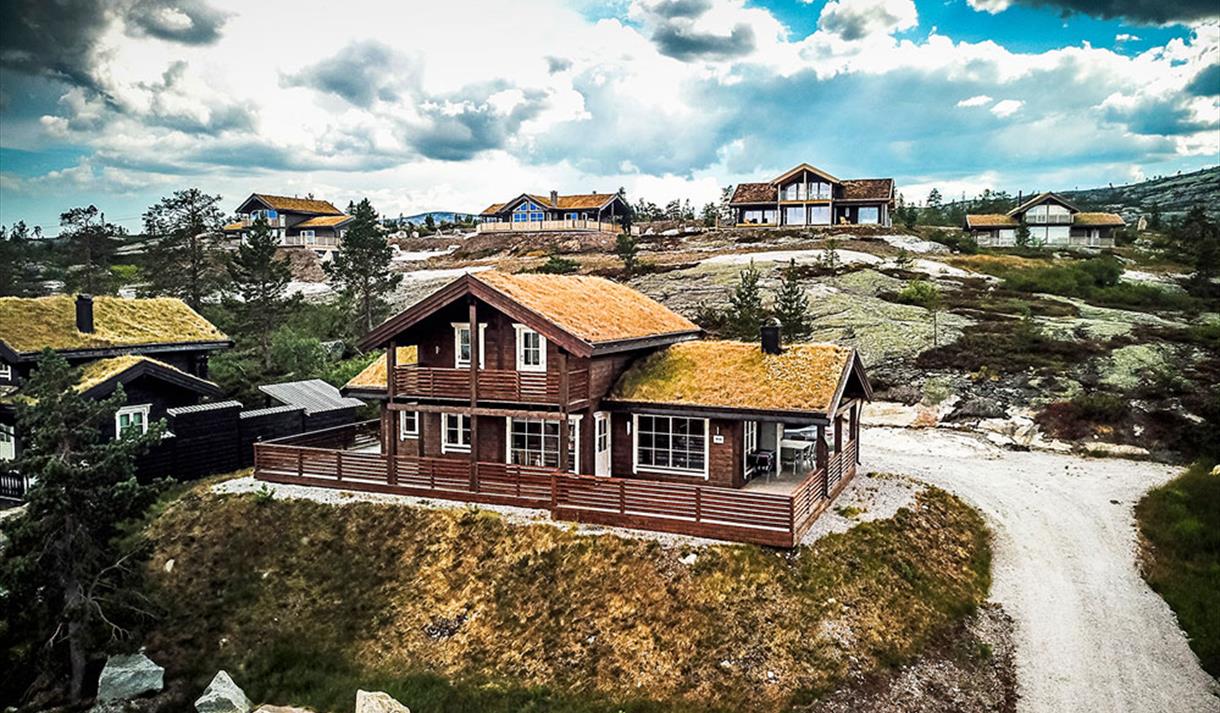 cabins at Vrådal Booking