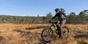 Bicycling in the nature at Gautefall