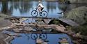 trail cycling at Gautefallheia in Drangedal