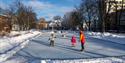 ice rink at City Hall Park