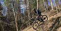 Bicycling in the woods at Gautefall