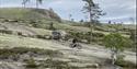 cycling over boulders at Gautefallheia in Drangedal